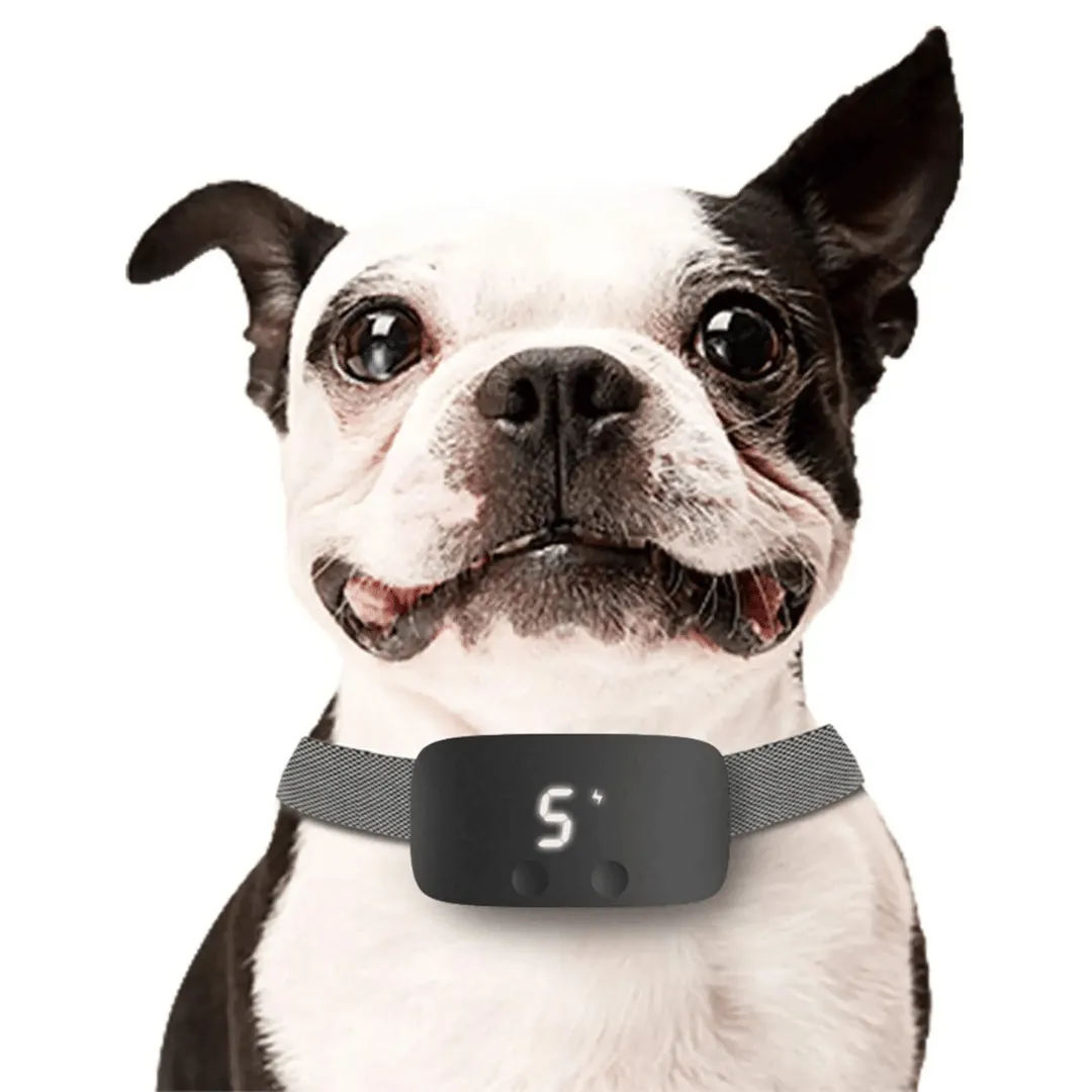 Anti-Bark Collar | Waterproof & Rechargeable Electric Dog Collar